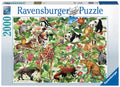 Puzzle: Jungle
