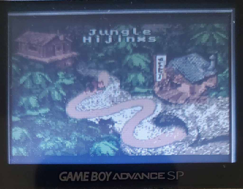 Donkey Kong Country Gameboy Color GBC Video Game Catridge 2000