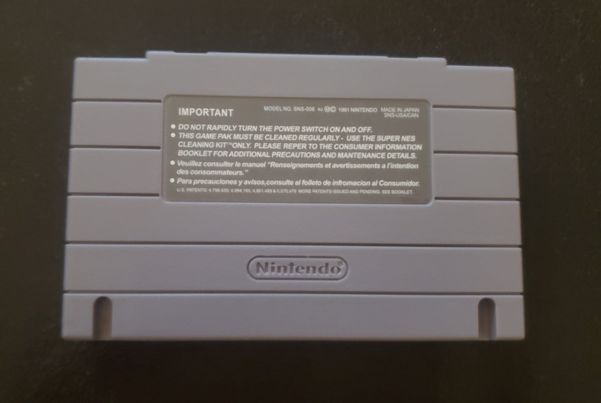 Donkey Kong Country 2 DKC 2 SNES Video Game Super Nintendo 1995