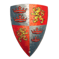 Prince Lionheart Foam Shield