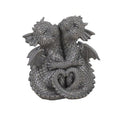 Garden Dragon Couple