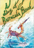 A Day at Barracuda Beach RPG