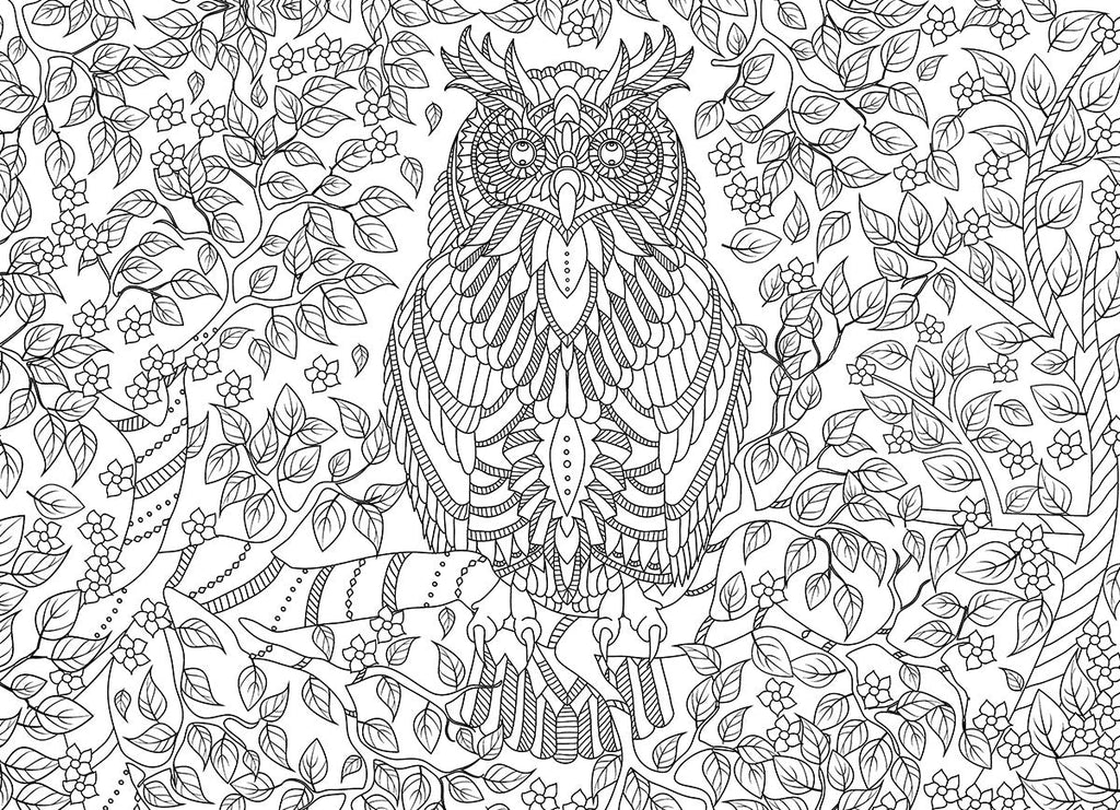 Puzzle: Color-Me Collection - Vibrant Wisdom