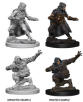 Pathfinder: Deep Cuts - Human Male Rogue