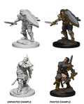 D&D: Nolzur's Marvelous Miniatures - Human Male Paladin