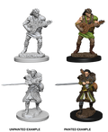 D&D: Nolzur's Marvelous Miniatures - Human Male Bard