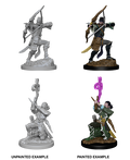 D&D: Nolzur's Marvelous Miniatures - Elf Male Bard