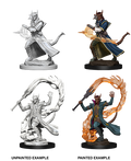 D&D: Nolzur's Marvelous Miniatures - Tiefling Male Sorcerer