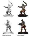 D&D: Nolzur's Marvelous Miniatures - Nameless One