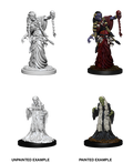 D&D: Nolzur's Marvelous Miniatures - Green Hag & Night Hag