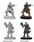 Pathfinder: Deep Cuts - Human Male Wizard