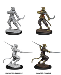 D&D: Nolzur's Marvelous Miniatures - Tabaxi Male Rogue