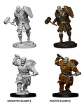 D&D: Nolzur's Marvelous Miniatures - Goliath Male Fighter