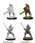 D&D: Nolzur's Marvelous Miniatures - Human Male Fighter
