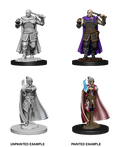 D&D: Nolzur's Marvelous Miniatures - Human Ranger & Moon Elf Sorcerer