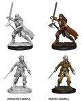 D&D: Nolzur's Marvelous Miniatures - Vampire Hunters