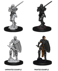 D&D: Nolzur's Marvelous Miniatures - Human Female Fighter