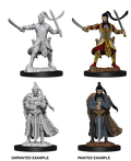 D&D: Nolzur's Marvelous Miniatures - Elf Male Paladin