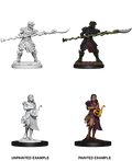 D&D: Nolzur's Marvelous Miniatures - Yuan-Ti Pureblood Adventurers