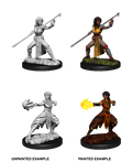 D&D: Nolzur's Marvelous Miniatures - Half-Elf Female Monk