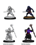 D&D: Nolzur's Marvelous Miniatures - Kenku Adventurers