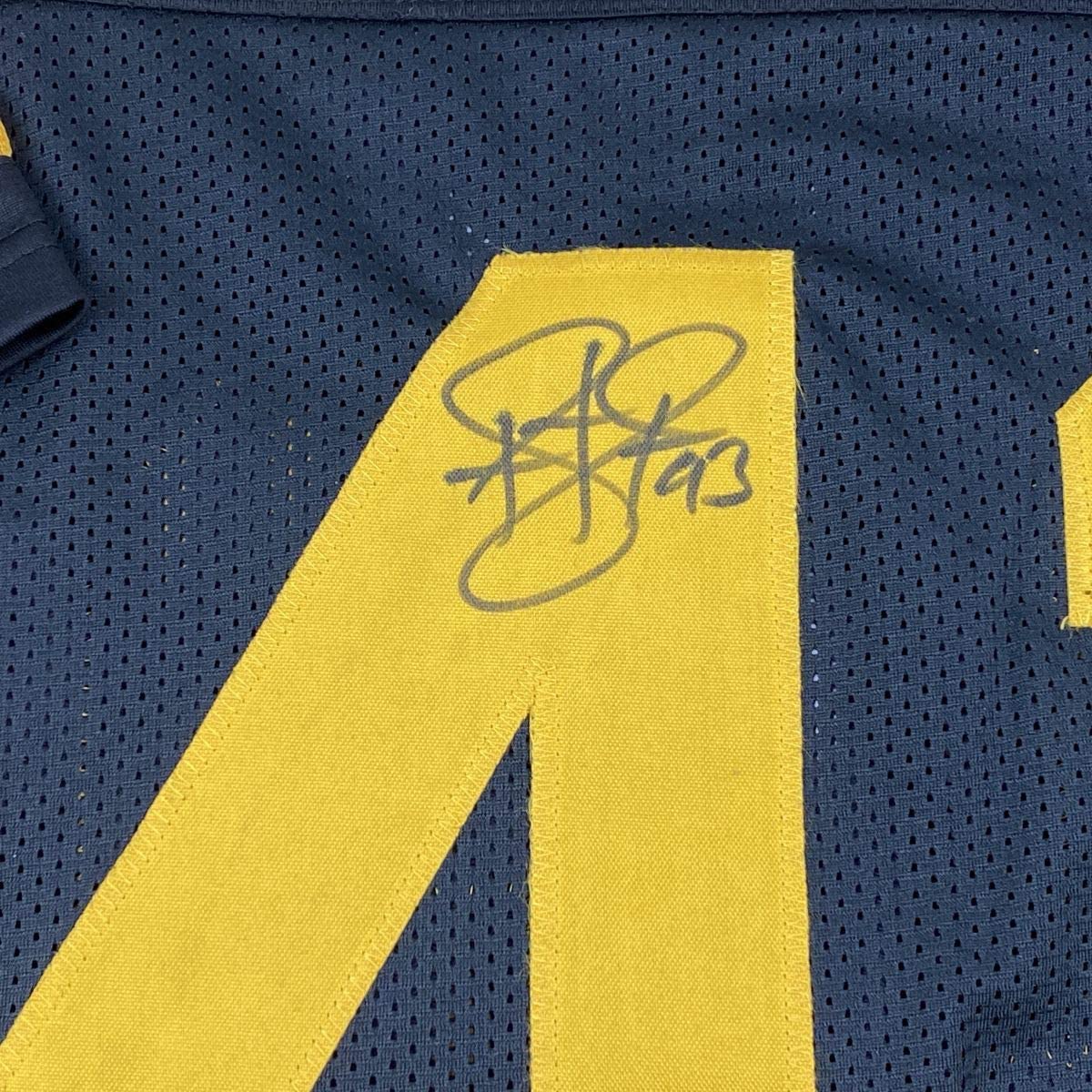 Autographed/Signed Troy Polamalu Pittsburgh Color Rush Football Jersey Beckett BAS COA