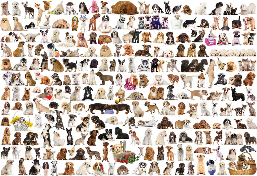 Puzzle: The BIG Puzzle Collection - The World of Dogs