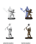 D&D: Nolzur's Marvelous Miniatures - Human Male Barbarian