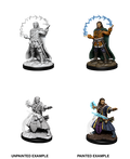 D&D: Nolzur's Marvelous Miniatures - Human Male Wizard