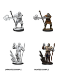 D&D: Nolzur's Marvelous Miniatures - Firbolg Male Wizard