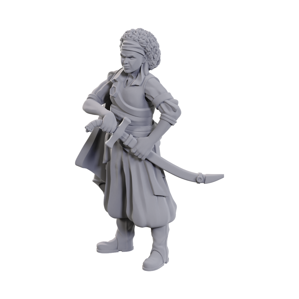 D&D: Nolzur's Marvelous Miniatures - Ansalon Human Rogue