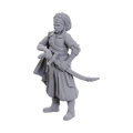 D&D: Nolzur's Marvelous Miniatures - Ansalon Human Rogue