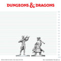 D&D: Nolzur's Marvelous Unpainted Miniatures - Tiefling Bard & Dwarf Cleric