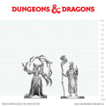 D&D: Nolzur's Marvelous Unpainted Miniatures - Human Druid & Elf Sorcerer