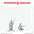 D&D: Nolzur's Marvelous Unpainted Miniatures - Cultist of Bhaal & Cultist of Myrkul