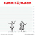 D&D: Nolzur's Marvelous Unpainted Miniatures - Knight & Mage Apprentice
