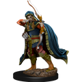 D&D: Icons of the Realms - Elf Rogue Male