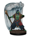 D&D: Icons of the Realms - Water Genasi Druid Male