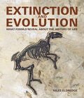 Extinction and Evolution: What Fossils Reveal About the History of Life