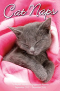 Cat Naps 2016 Engagement Calendar