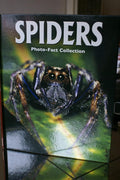 Spiders (Photo-Fact Collection Series)