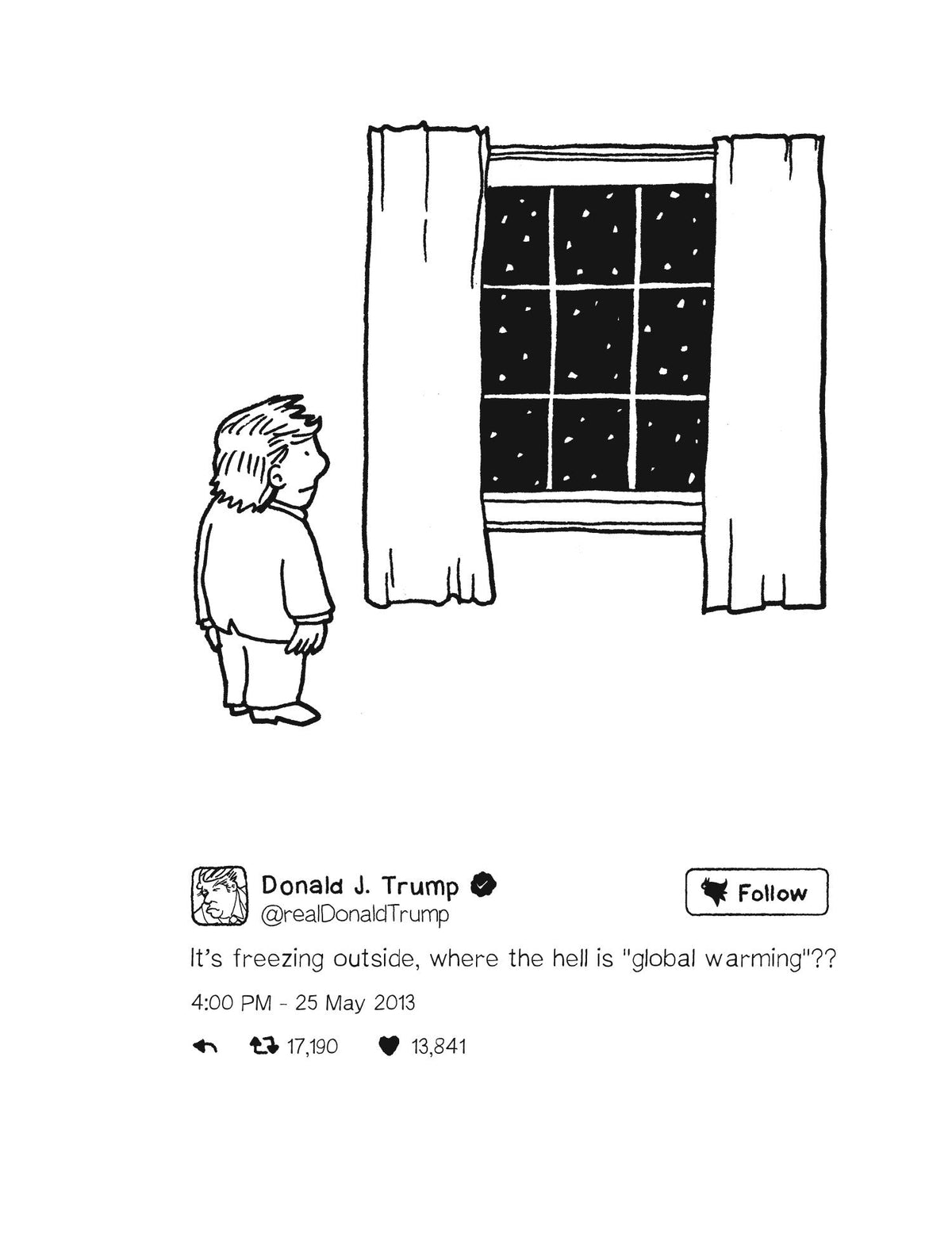 Sh*t My President Says: The Illustrated Tweets of Donald J. Trump