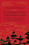 In the Footsteps of Bodhisattvas: Buddhist Teachings on the Essence of Meditation