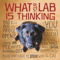 What Your Lab is Thinking
