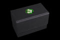 Twin Headed Lizard | Wargaming & Datasheet Box | Baron's Coin™ Compatible