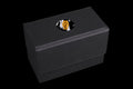 Orange Coffin | Wargaming & Datasheet Box | Baron's Coin™ Compatible