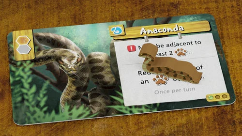 Life of the Amazonia