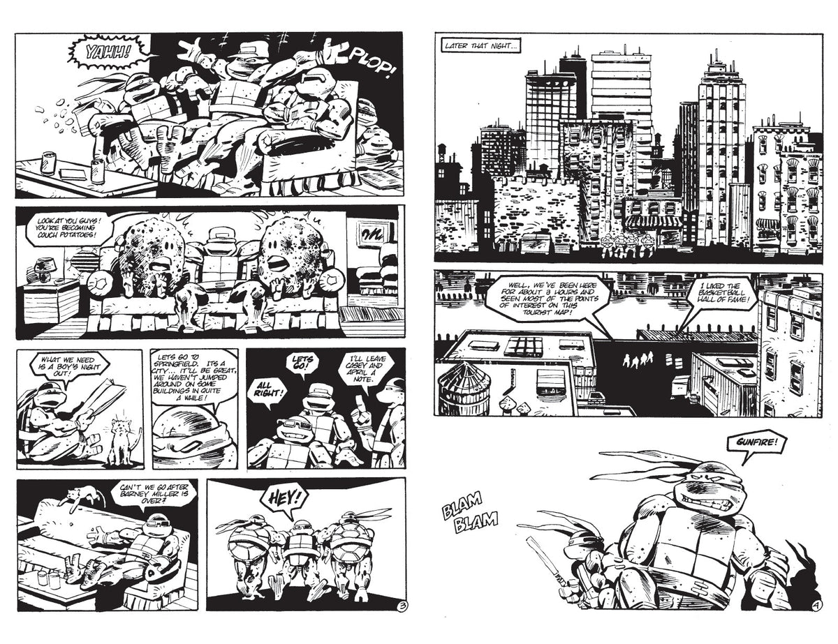 Best of Teenage Mutant Ninja Turtles Collection, Vol. 6