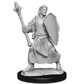 Critical Role: Human Clovis Concord Cleric Male