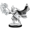 Critical Role: Hobgoblin Wizard and Druid Male